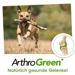 ArthroGreen Classic 25 g