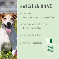 dentaVet Atemfrisch 40 g
