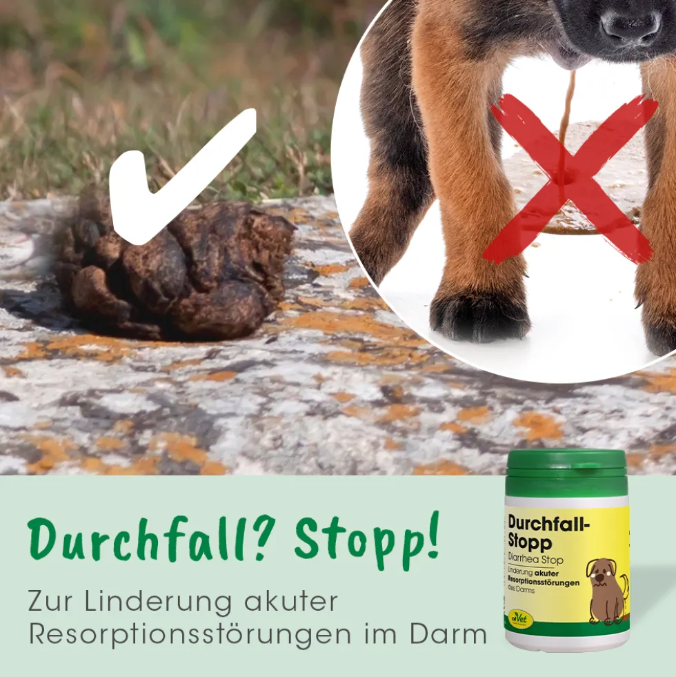 DurchfallStopp 100 Kapseln