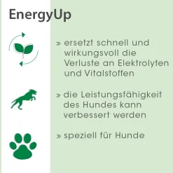 EnergyUp 450 g