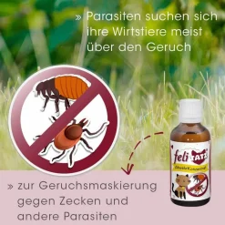 feliTATZ AbwehrKonzentrat 10 ml