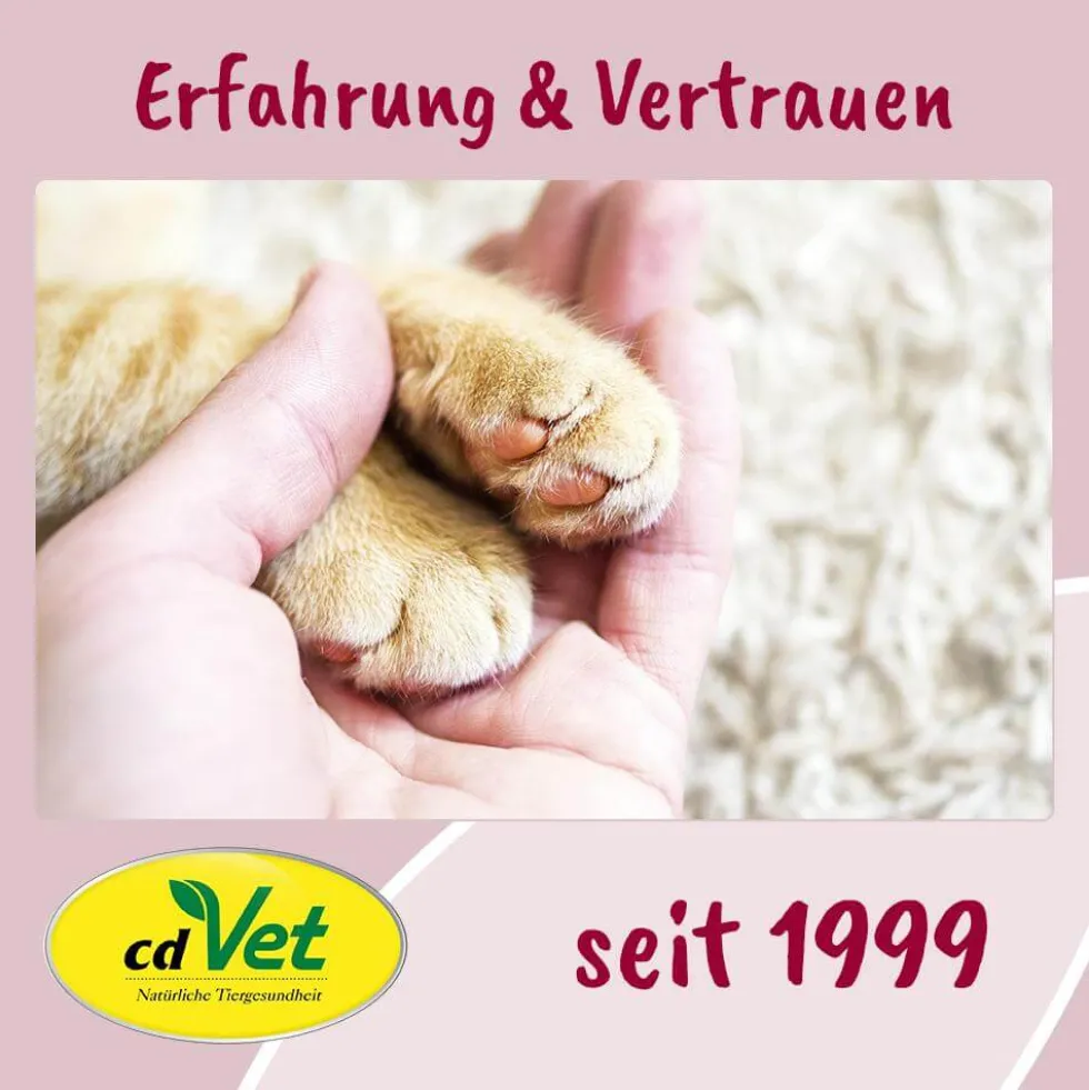 feliTATZ AbwehrKonzentrat 10 ml