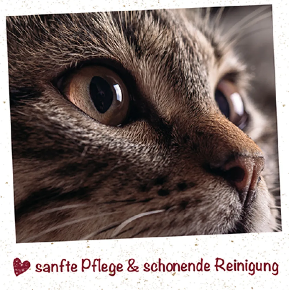 feliTATZ AugenReiniger 20 ml