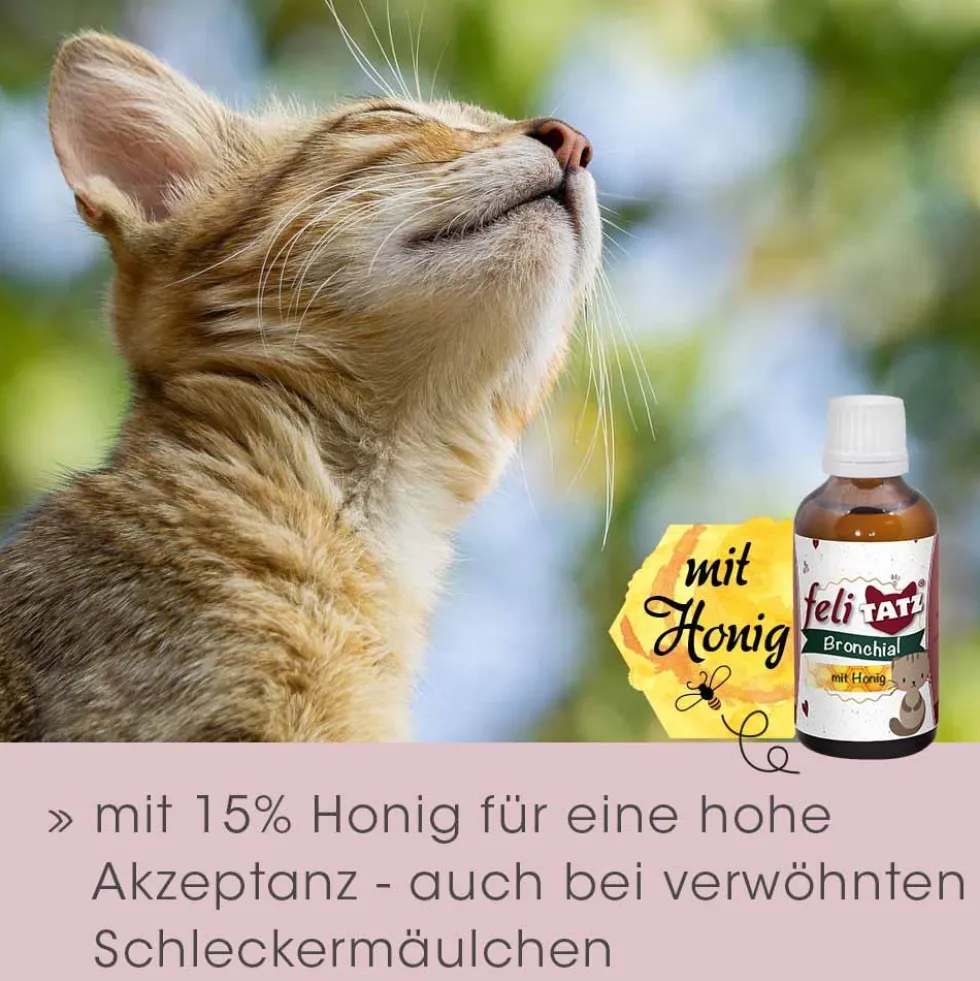 feliTATZ Bronchial 50 ml