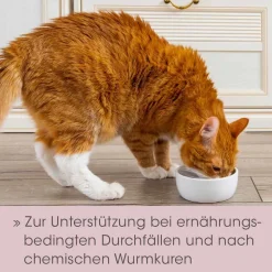 feliTATZ DarmRegulanz 50 g