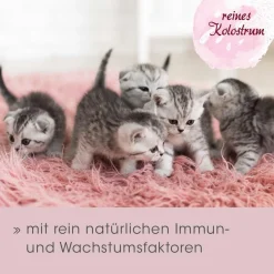 feliTATZ ImmunKraft 30 g