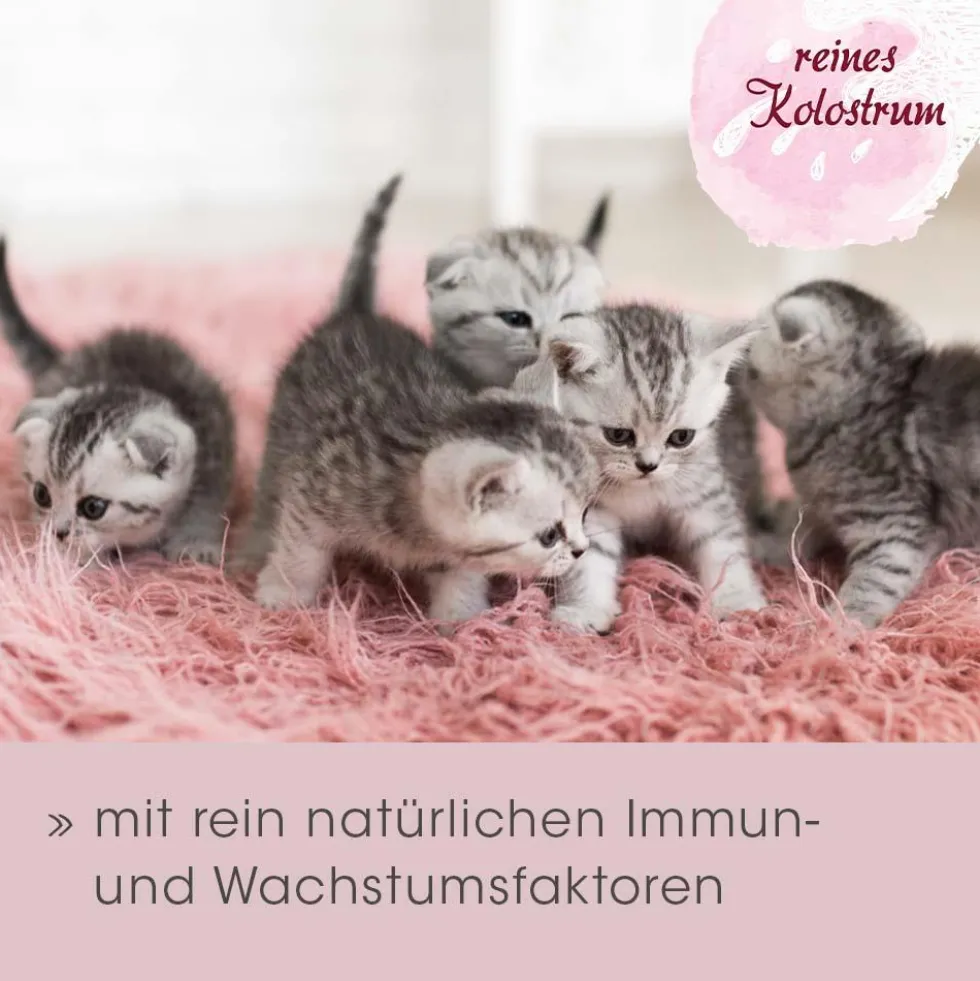 feliTATZ ImmunKraft 30 g
