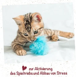 feliTATZ KatzenMinze Spray 50 ml