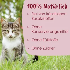 feliTATZ Kittenmilch 90 g
