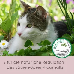 feliTATZ Magenschutz 25 g