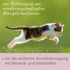 feliTATZ MineralKraft 60 g