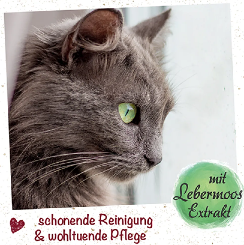 feliTATZ OhrReiniger 20 ml