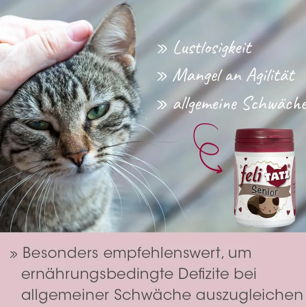 feliTATZ Senior 25 g