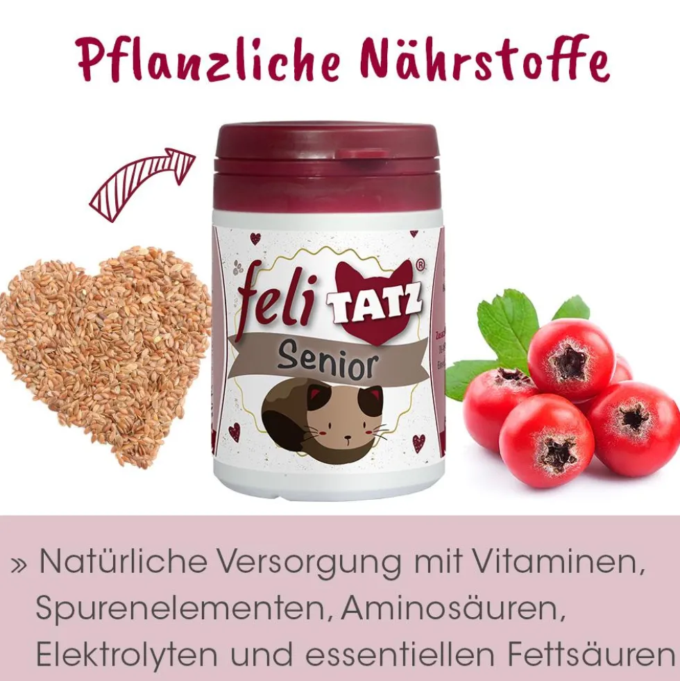 feliTATZ Senior 25 g