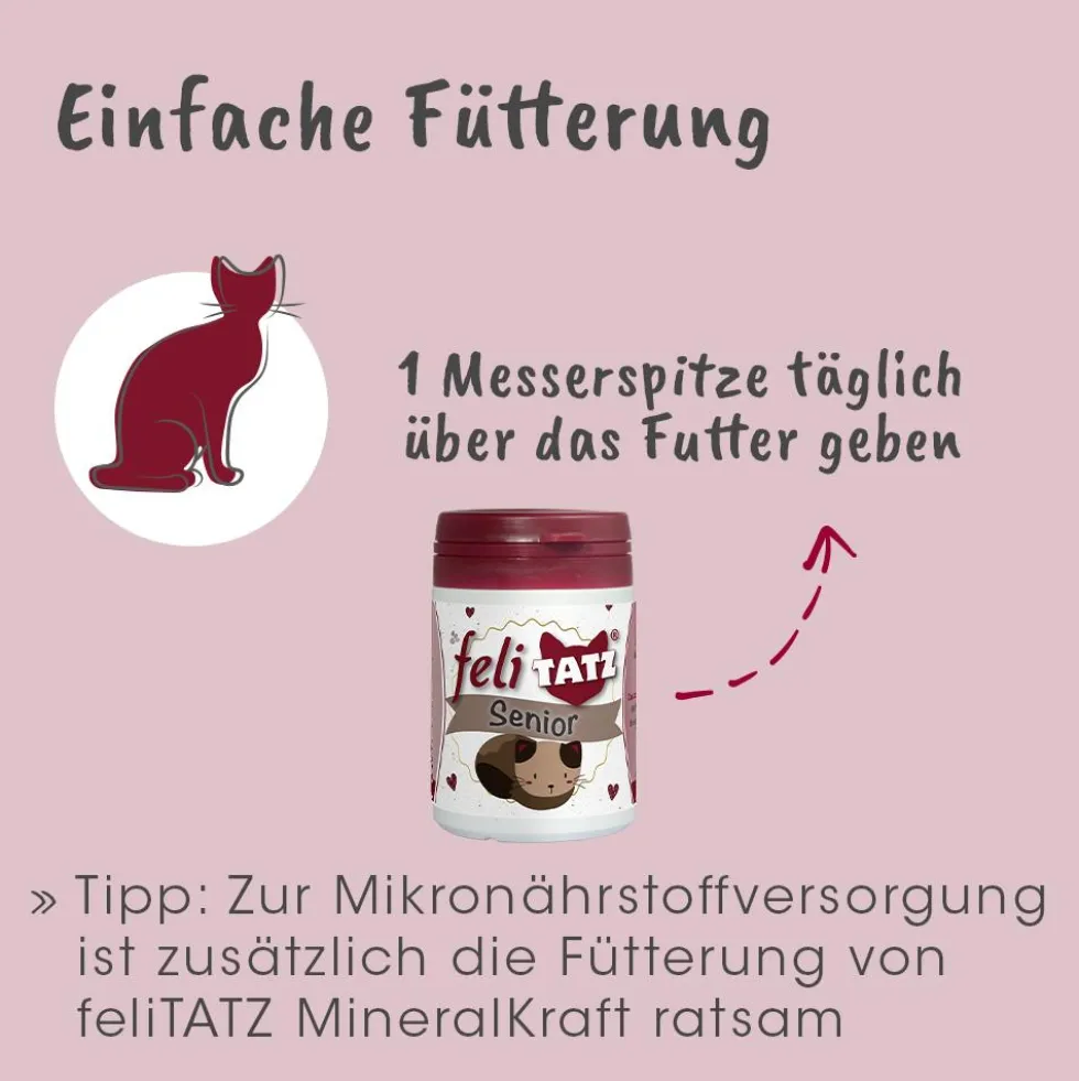 feliTATZ Senior 25 g