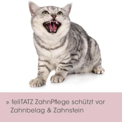 feliTATZ ZahnPflege 20ml