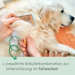 Fell & Haut Vital Hund & Katze 150 g
