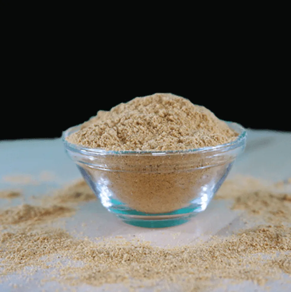 Fit-BARF Grünlippmuschel 35 g