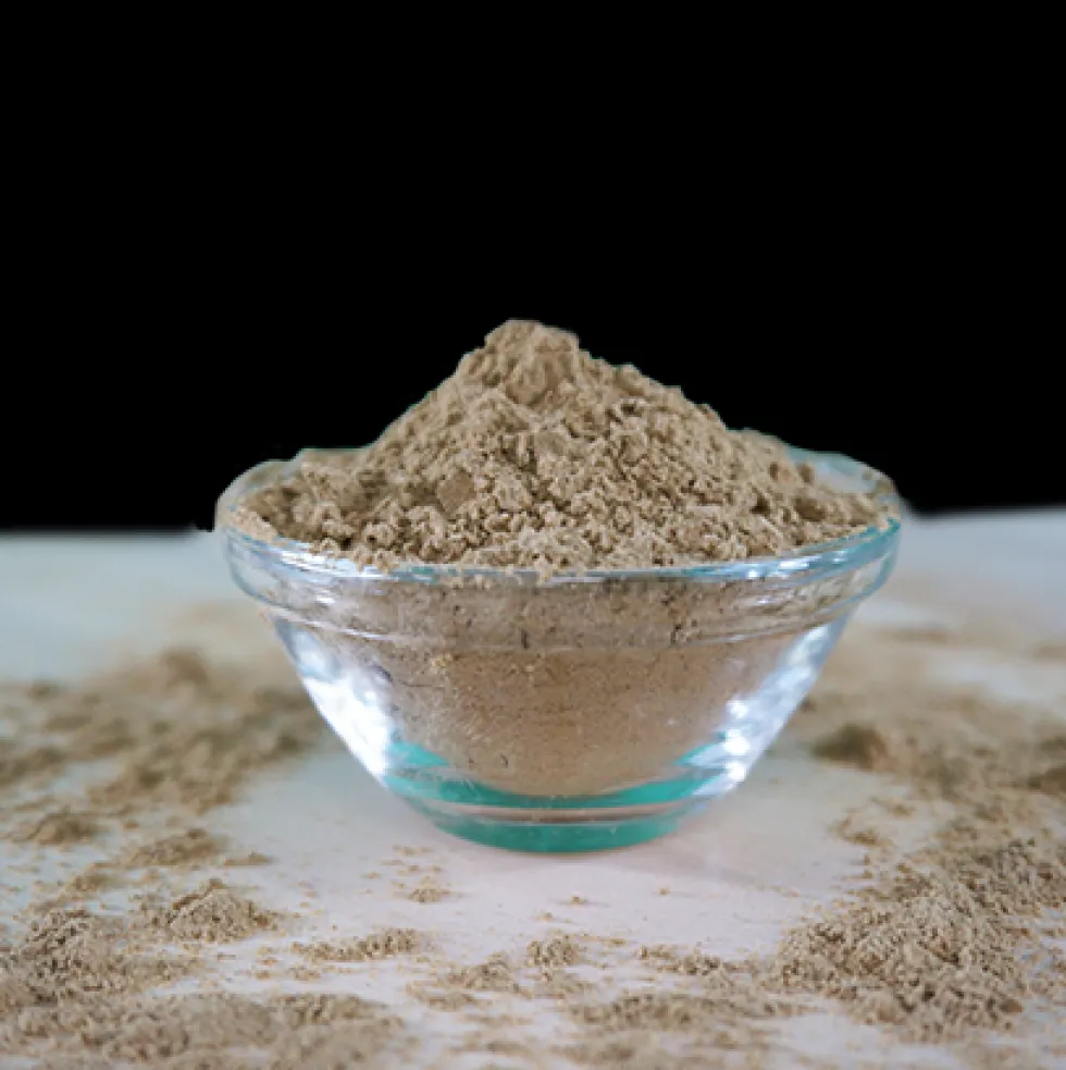 Fit-BARF Seealgenmehl 100 g