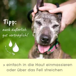 insektoVet Bio-Kokos-Schwarzkümmel-Öl 100 ml