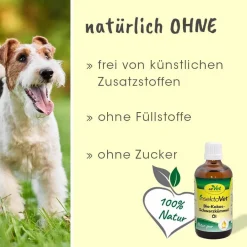 insektoVet Bio-Kokos-Schwarzkümmel-Öl 100 ml