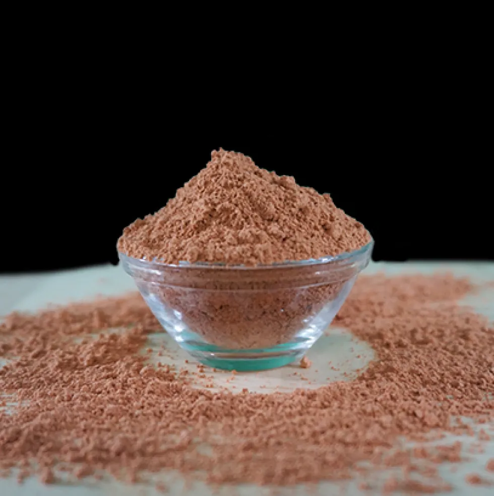 Kieselgur 50 g