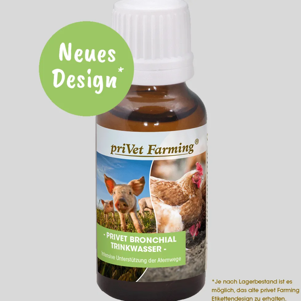 privet Bronchial Trinkwasser 20 ml