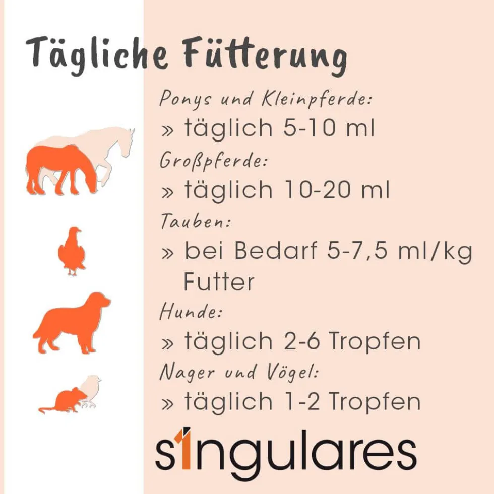 Singulares Ägyptisches Schwarzkümmelöl 100 ml