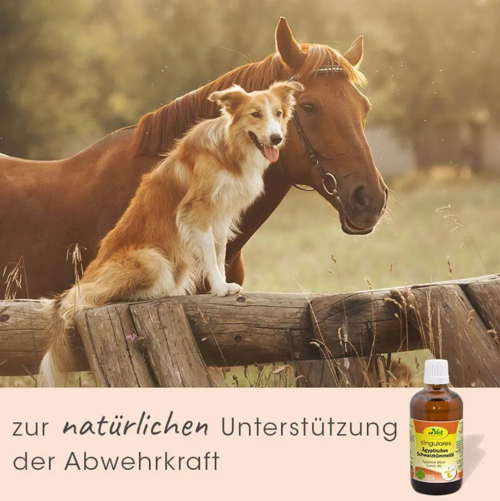 Singulares Ägyptisches Schwarzkümmelöl 100 ml