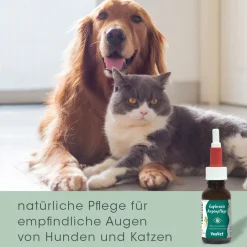 VeaVet Euphrasia Augenpflege 20 ml