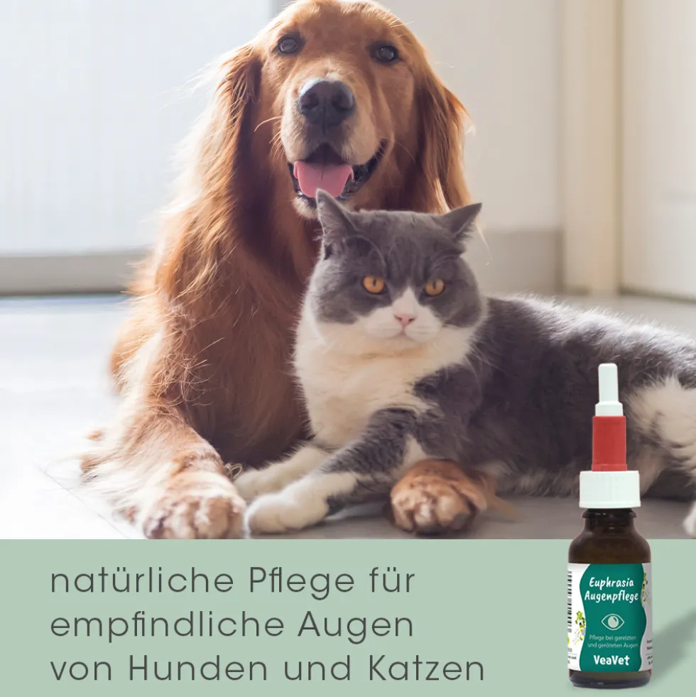 VeaVet Euphrasia Augenpflege 20 ml