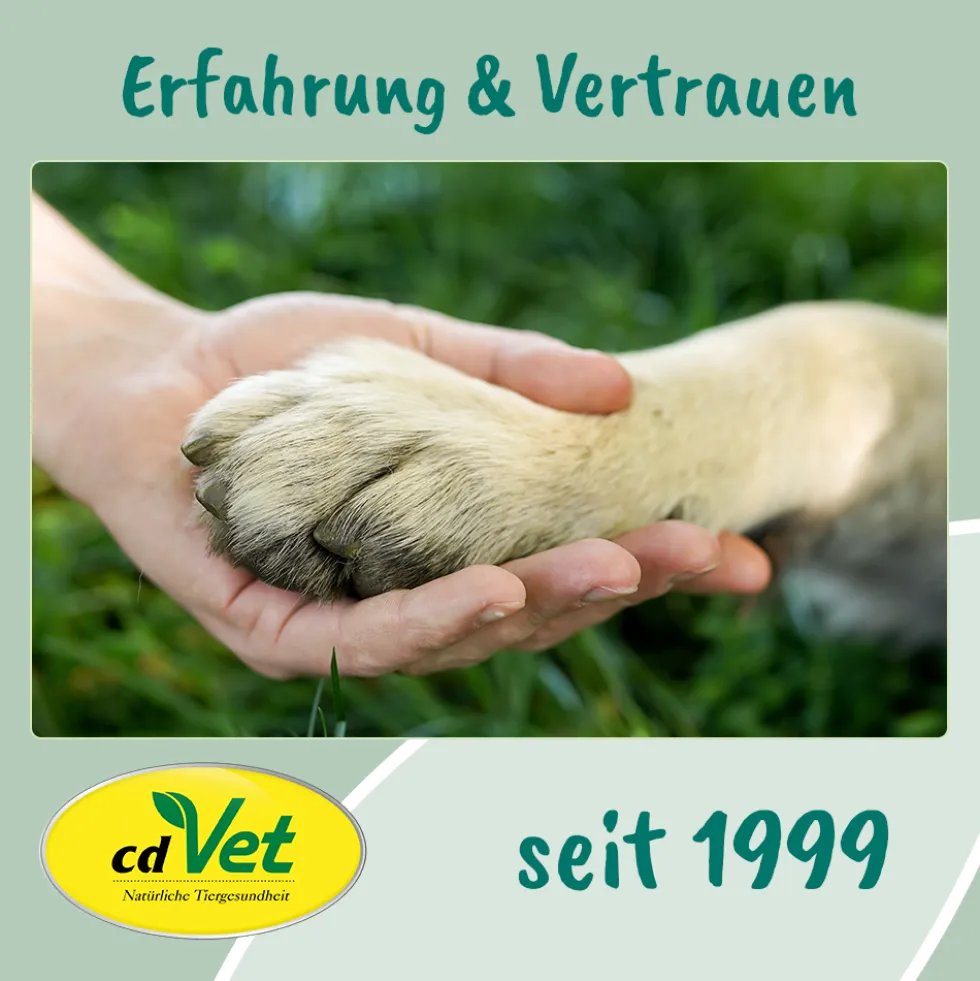 VeaVet Euphrasia Augenpflege 20 ml