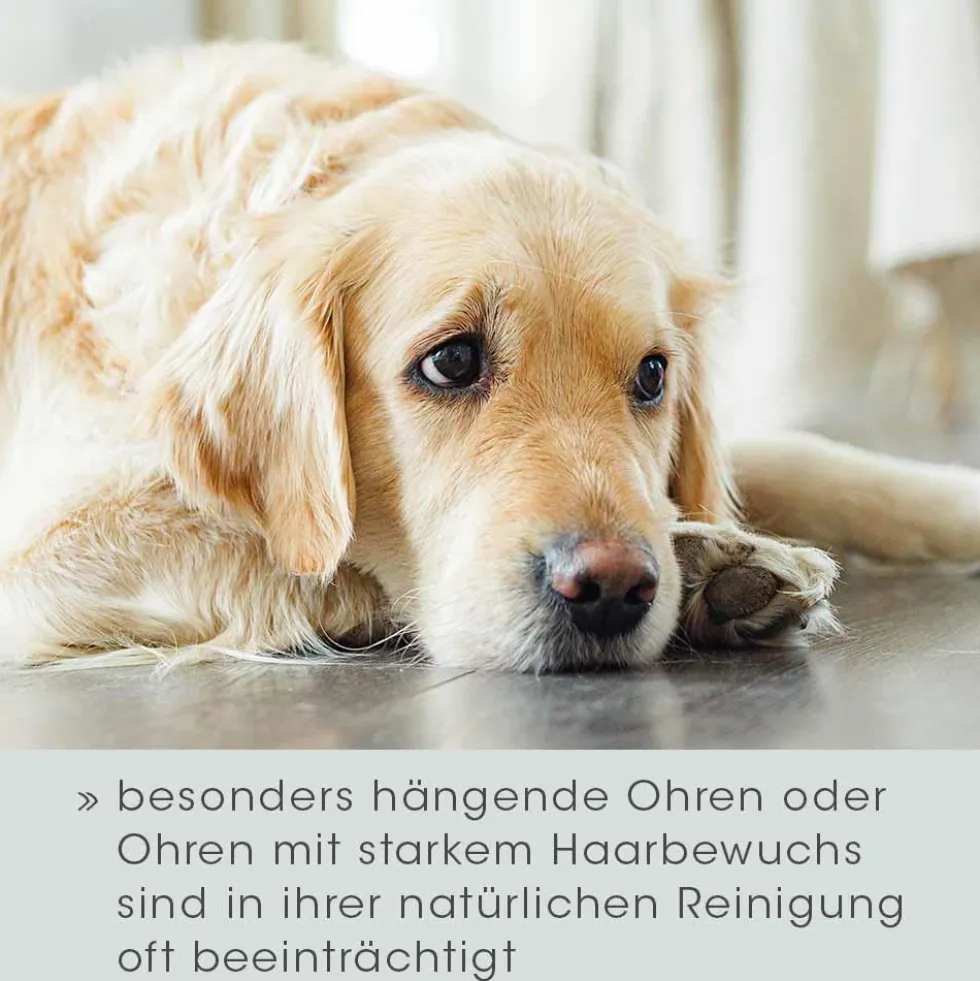 VeaVet Ohrenpflege mild 20 ml