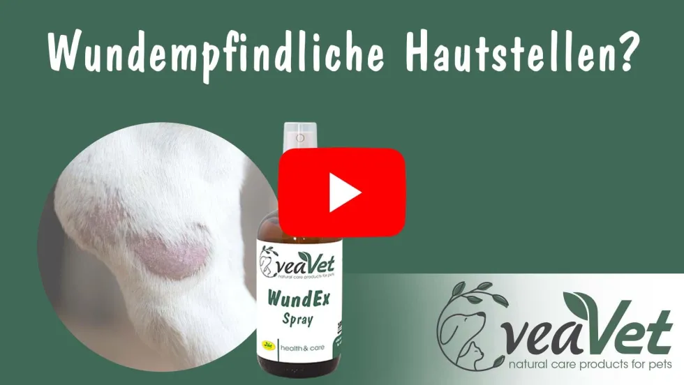 VeaVet WundEx Spray 20 ml