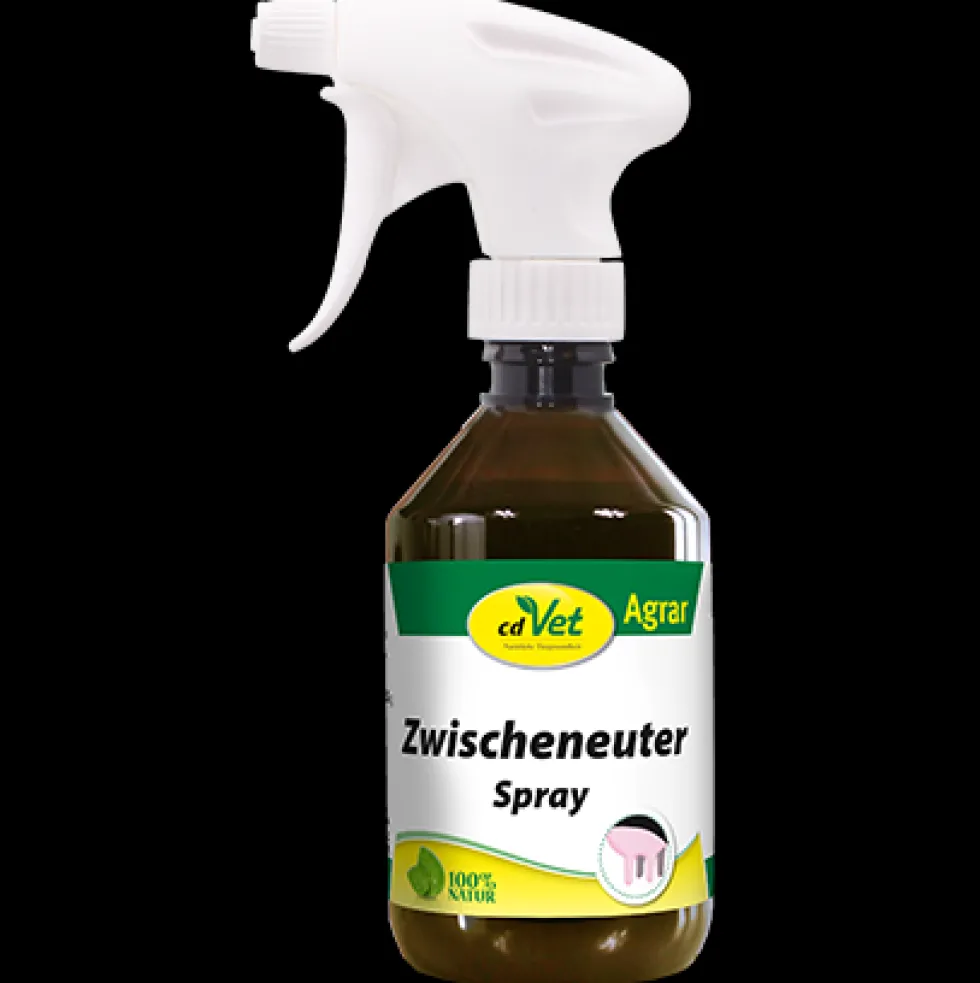 Zwischeneuter Spray 250ml